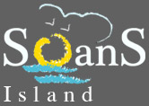 soans_logo.gif (5256 bytes)